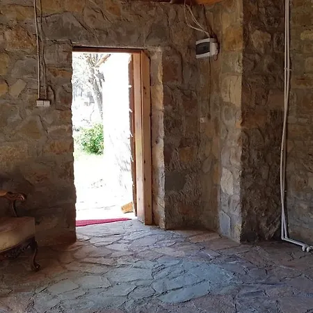 Olympos Stone 2 ホテル Kumluca